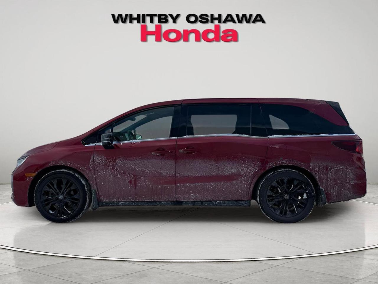 2025 Honda Odyssey Black Edition Photo
