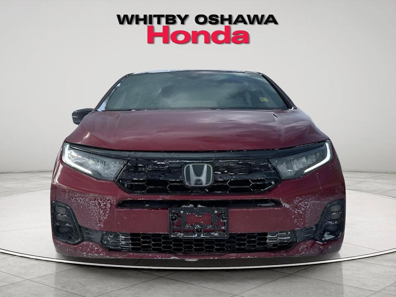 2025 Honda Odyssey Black Edition Photo