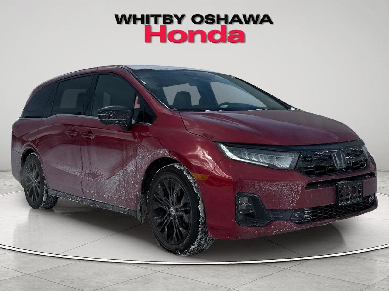 2025 Honda Odyssey Black Edition Photo