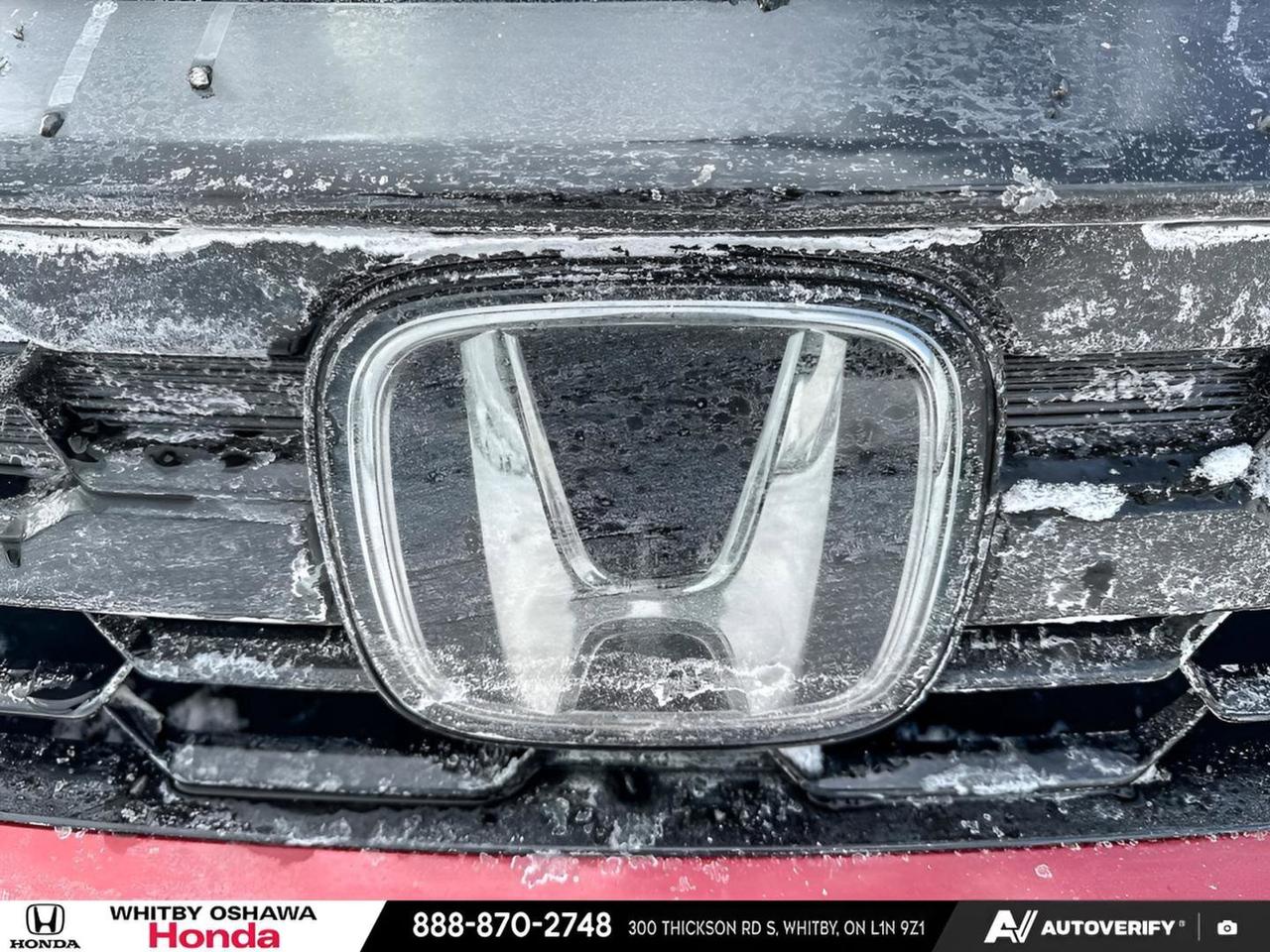 2025 Honda Odyssey Black Edition Photo