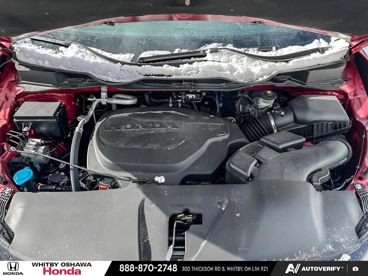 2025 Honda Odyssey Black Edition Photo