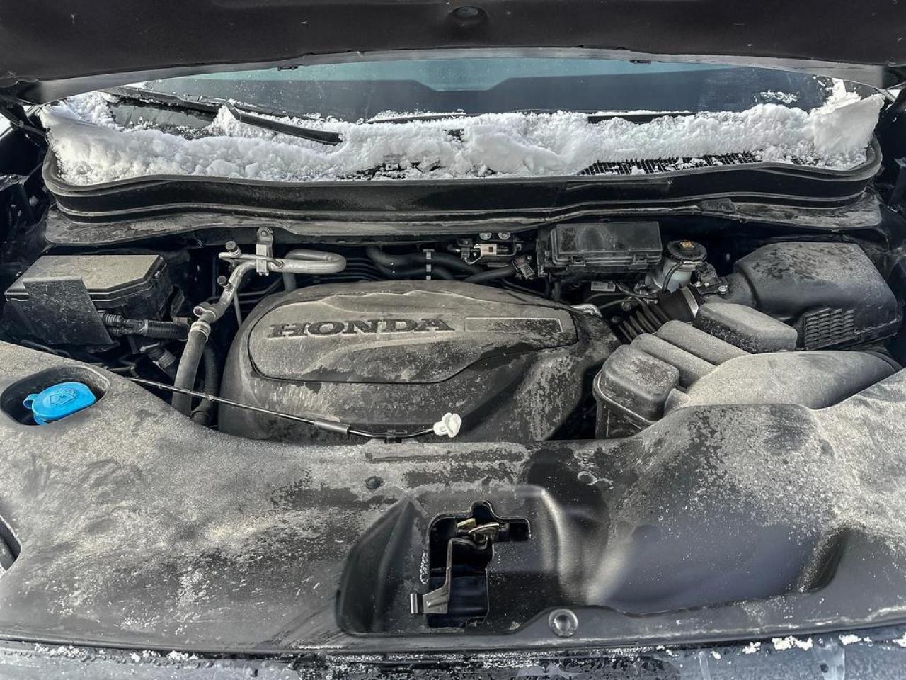 2025 Honda Ridgeline Black Edition Photo