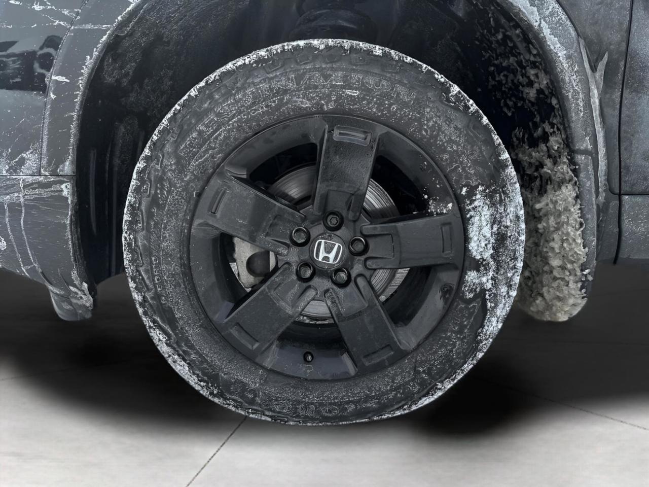 2025 Honda Ridgeline Black Edition Photo