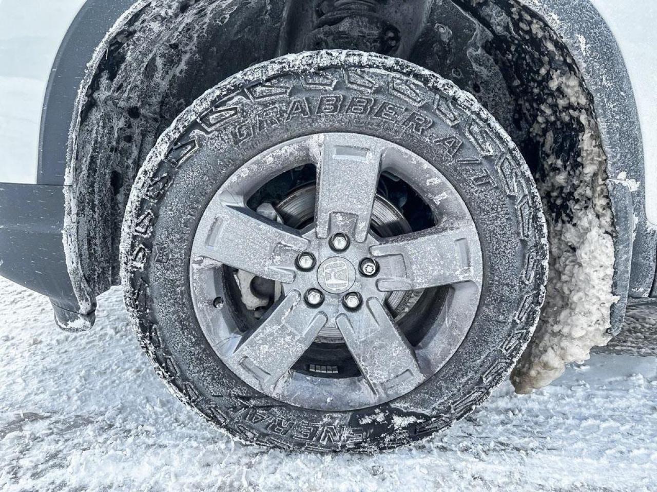 2025 Honda Ridgeline TrailSport Photo