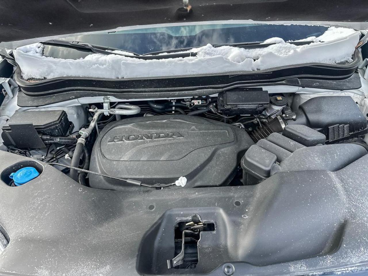 2025 Honda Ridgeline TrailSport Photo