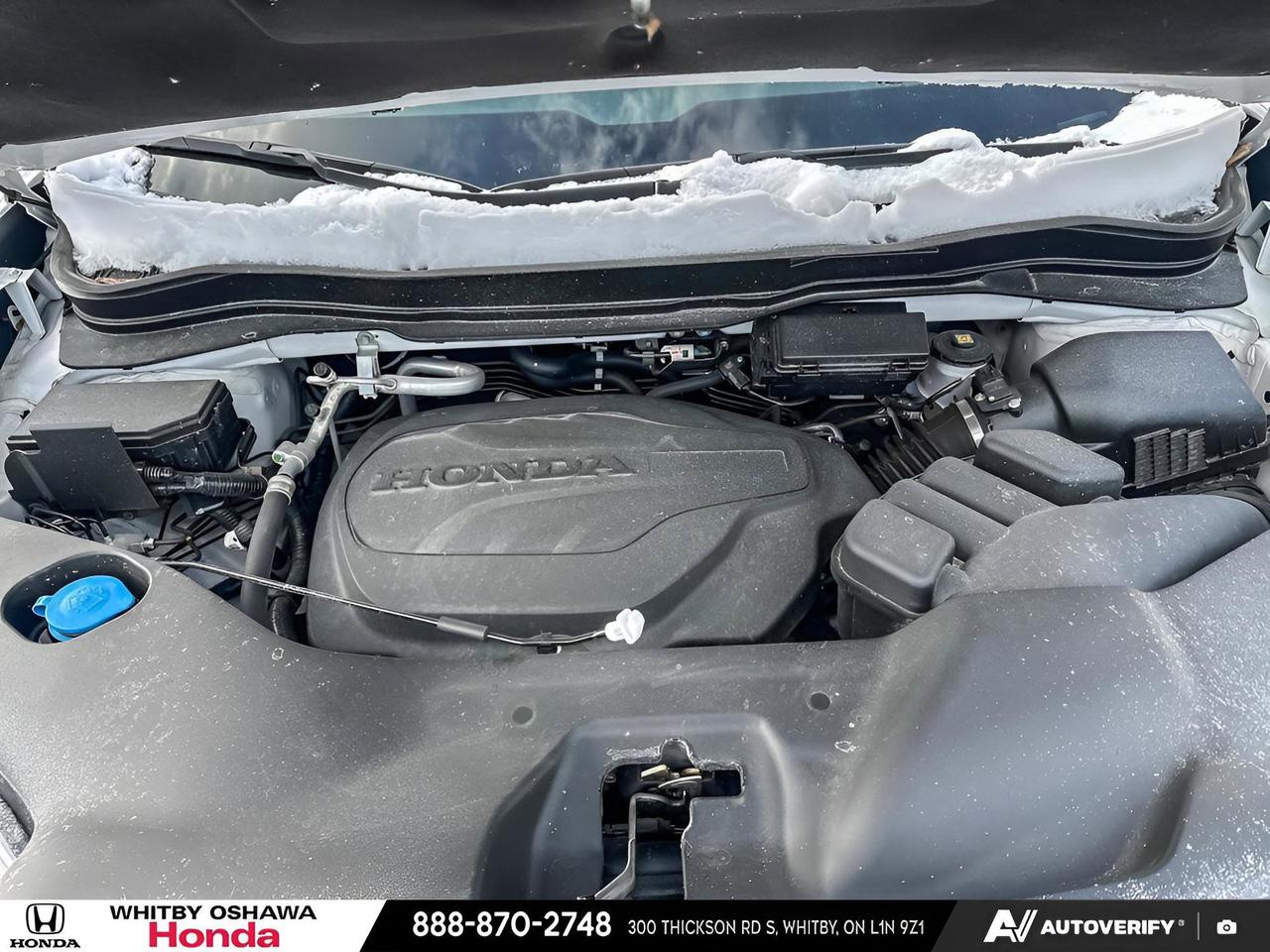 2025 Honda Ridgeline TrailSport Photo