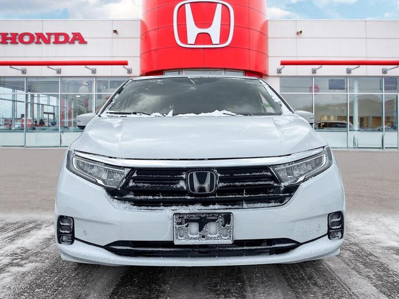 2024 Honda Odyssey Touring Photo