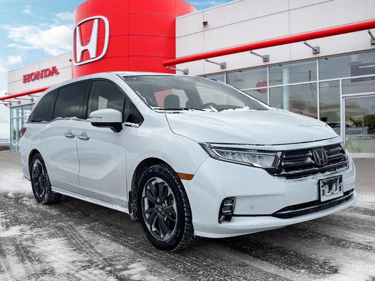 2024 Honda Odyssey Touring Photo