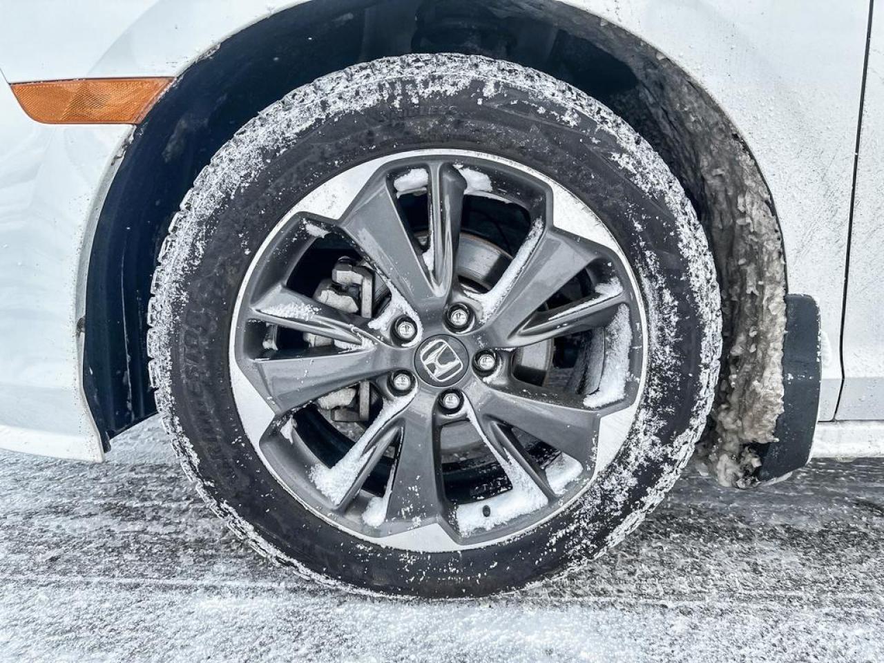 2024 Honda Odyssey Touring Photo