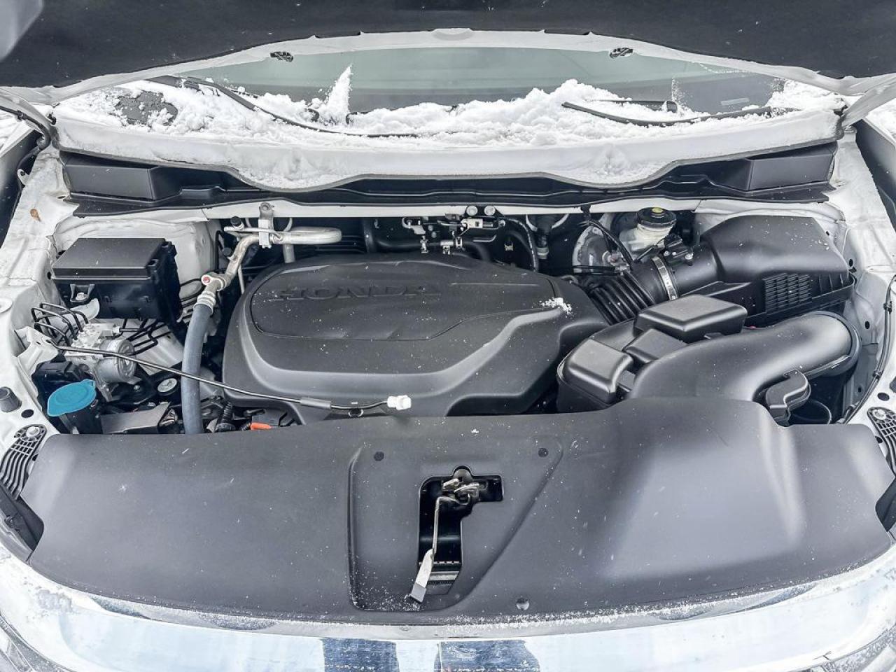 2024 Honda Odyssey Touring Photo