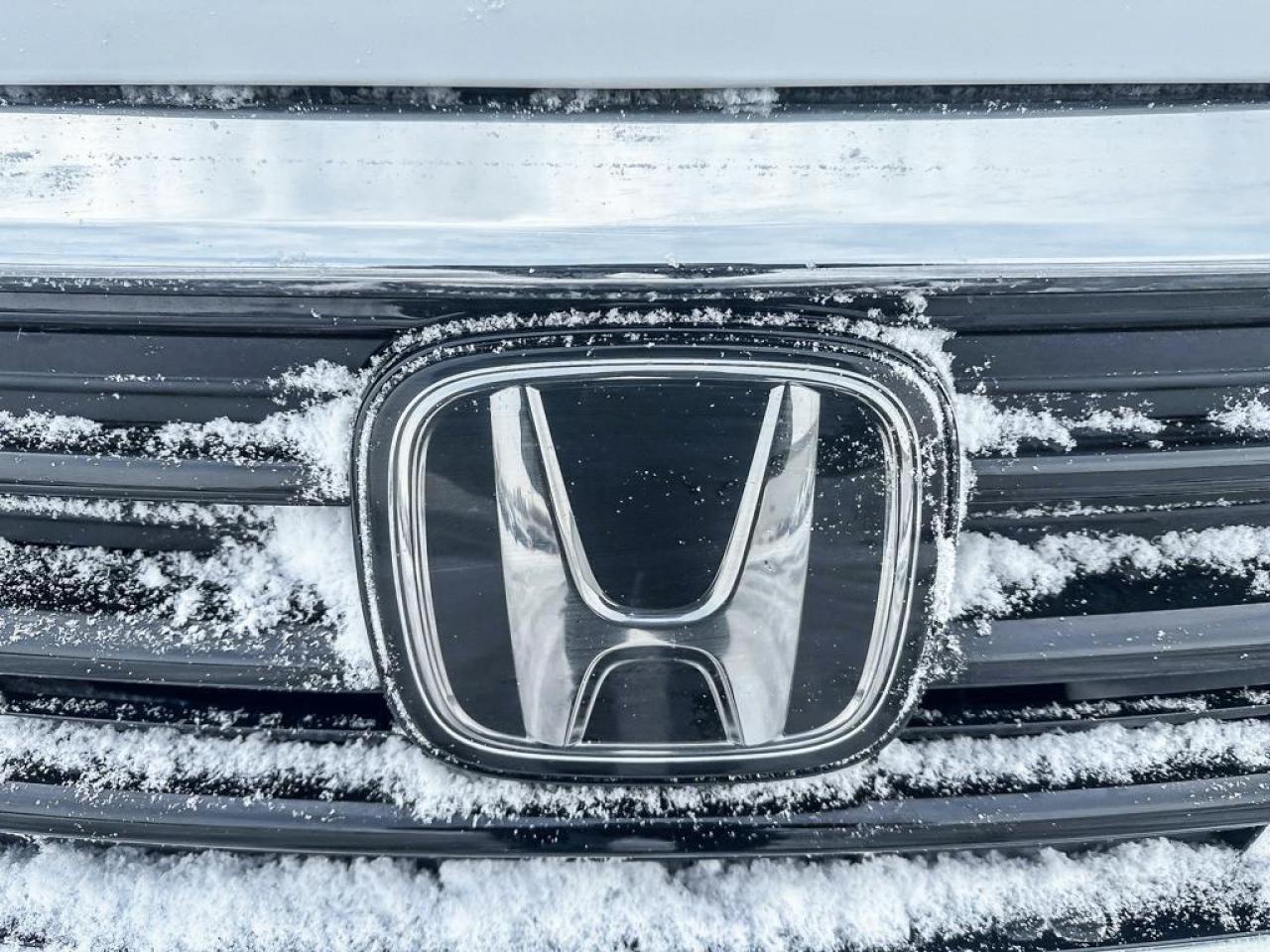 2024 Honda Odyssey Touring Photo