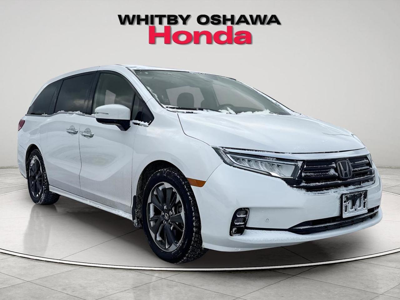 2024 Honda Odyssey Touring Photo