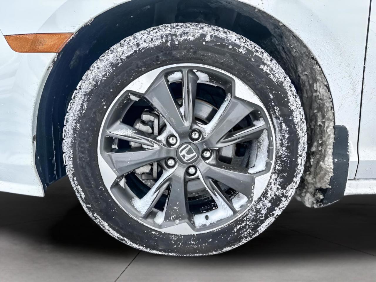 2024 Honda Odyssey Touring Photo