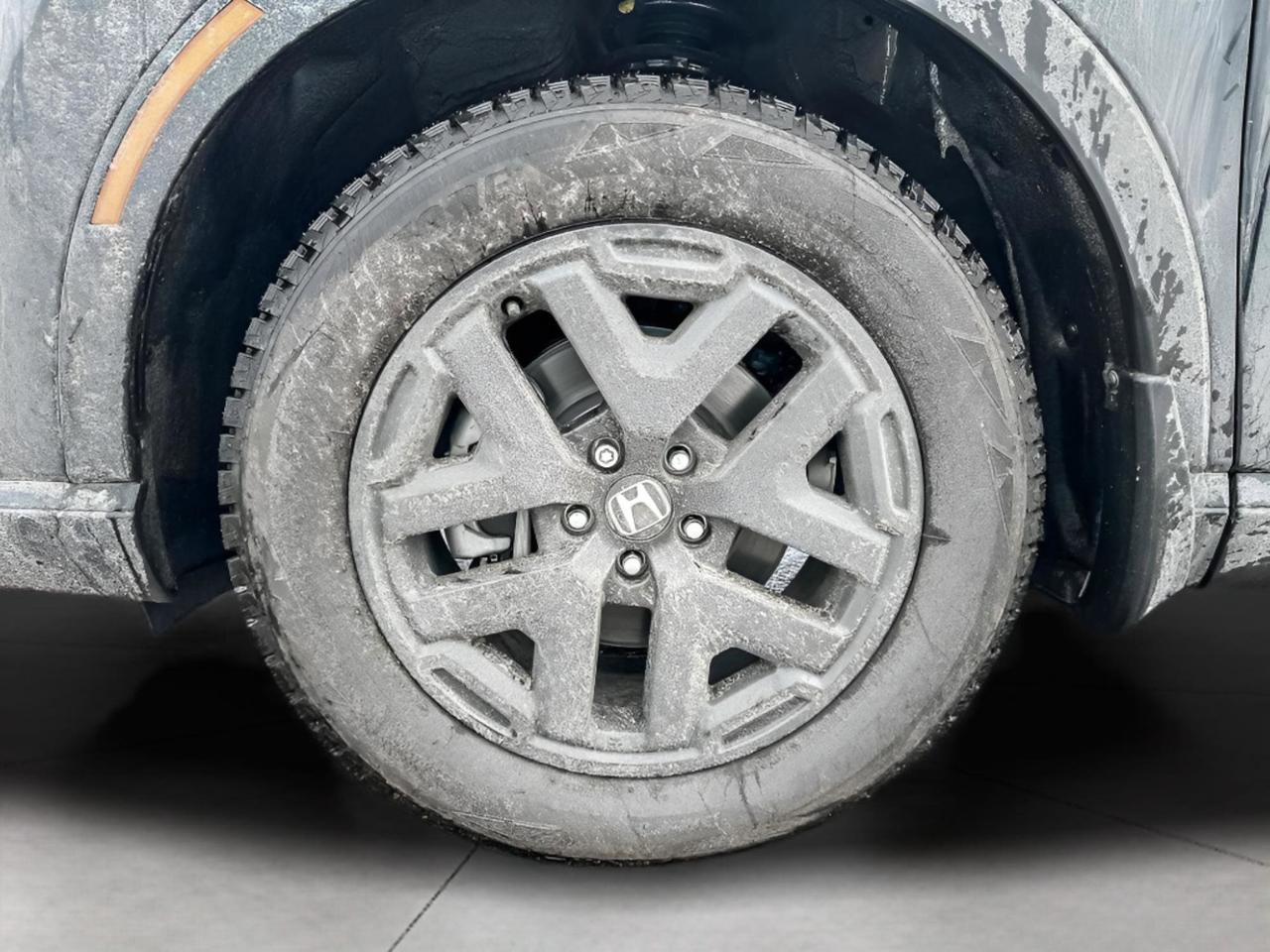 2026 Honda CR-V Hybrid TrailSport Photo