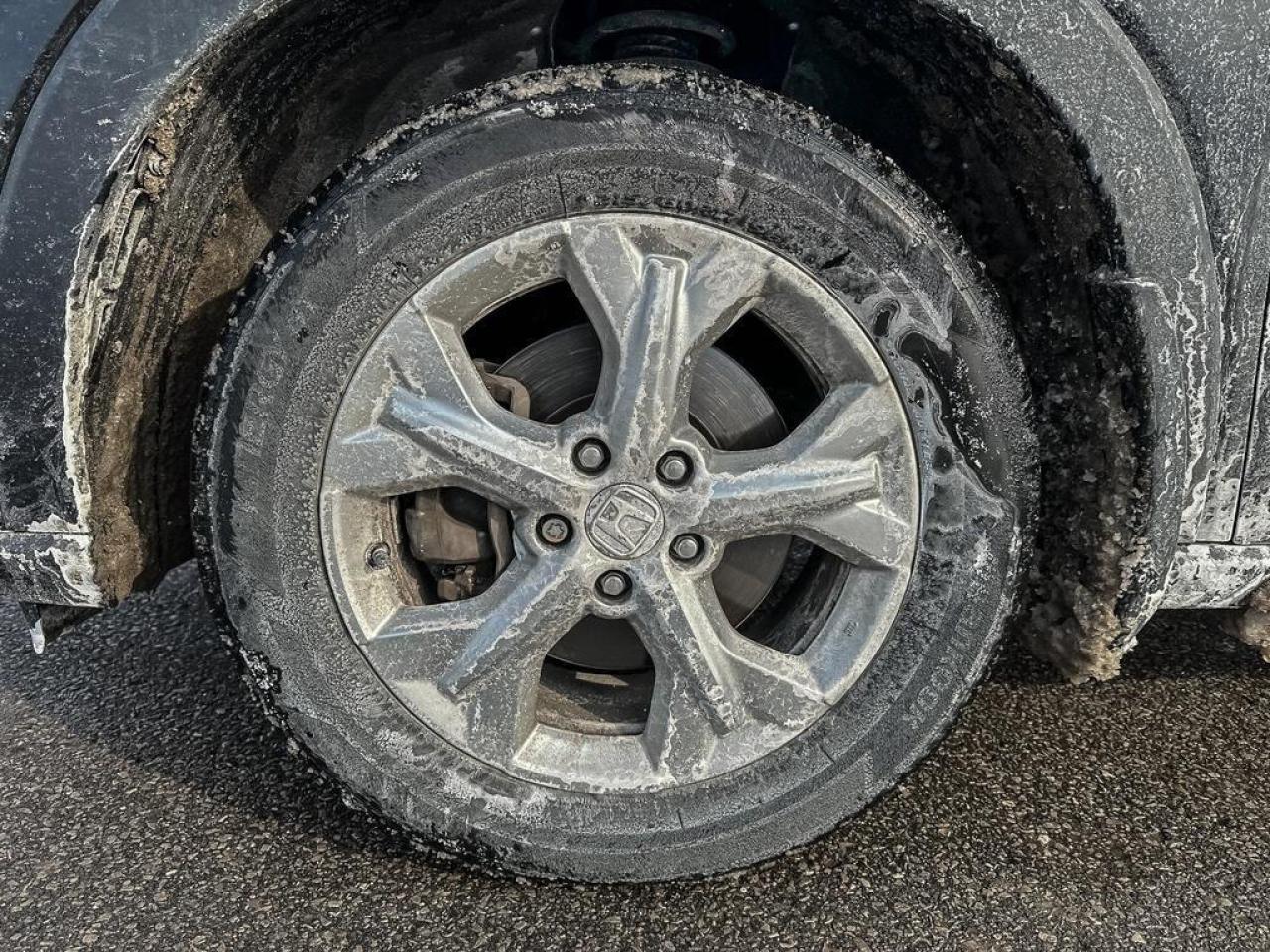 2023 Honda HR-V LX Photo