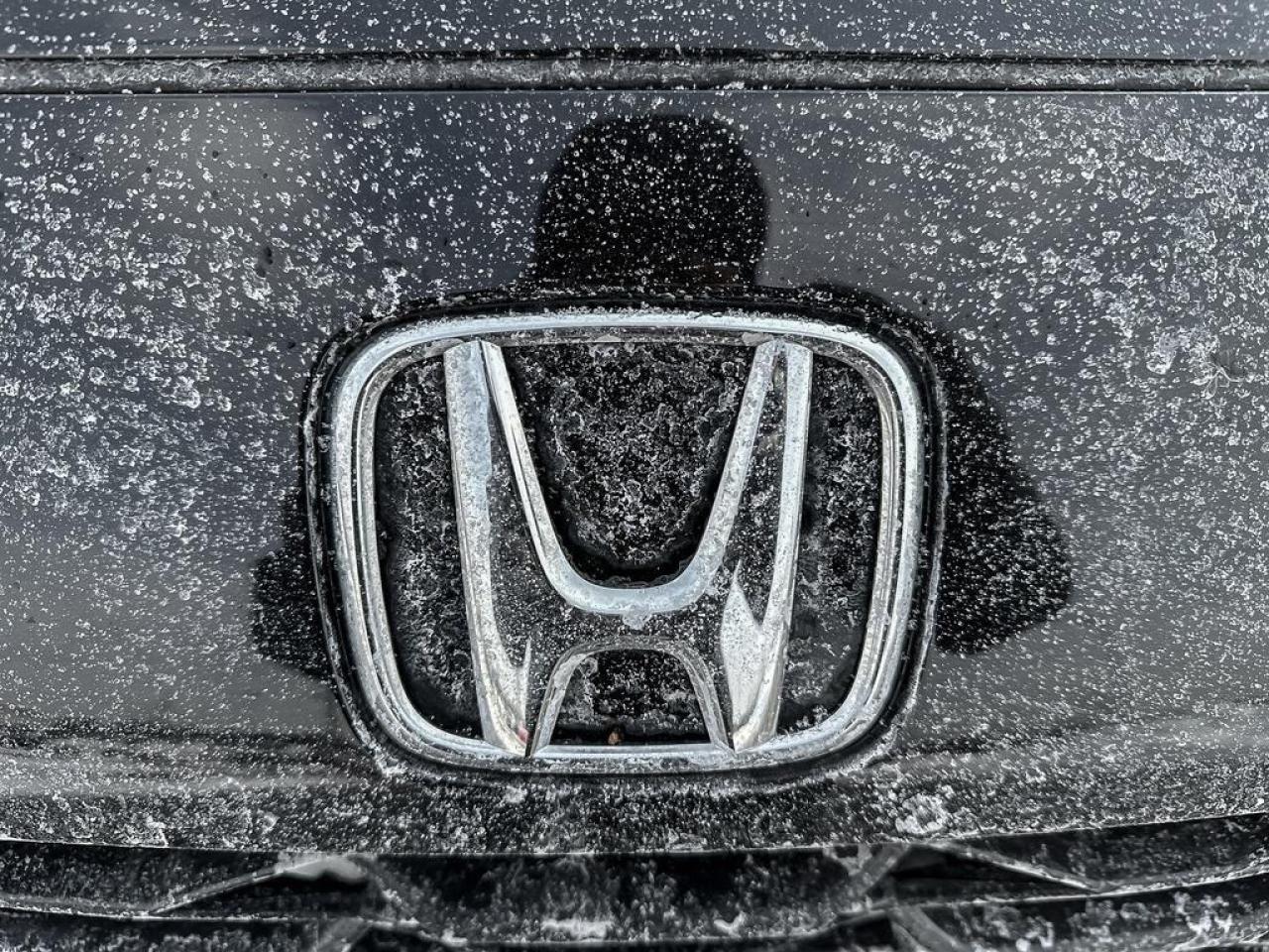 2023 Honda HR-V LX Photo