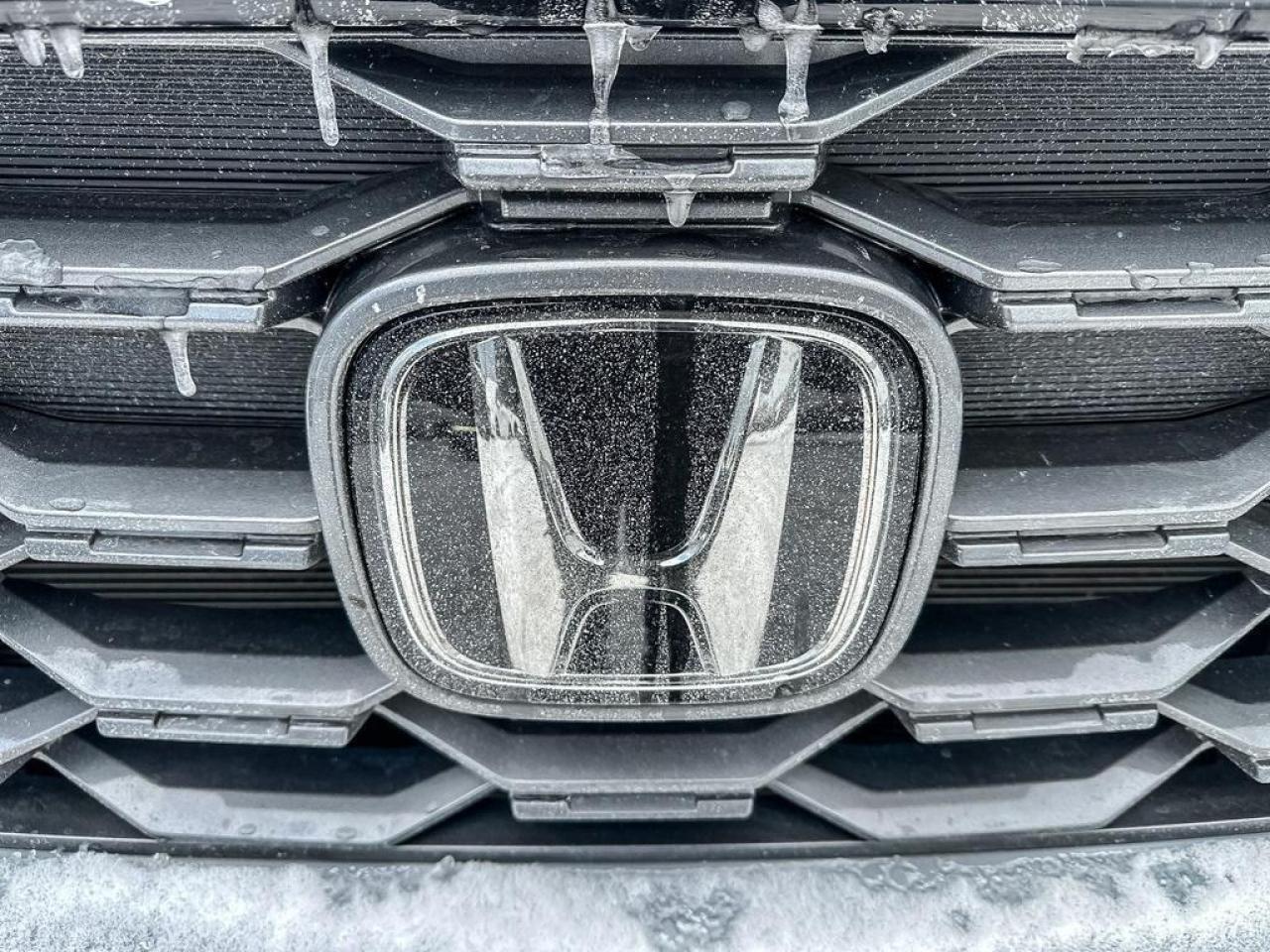 2023 Honda Passport TRAILSPORT Photo