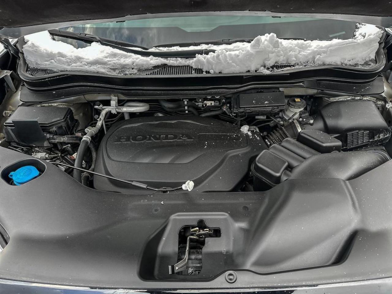 2023 Honda Passport TRAILSPORT Photo