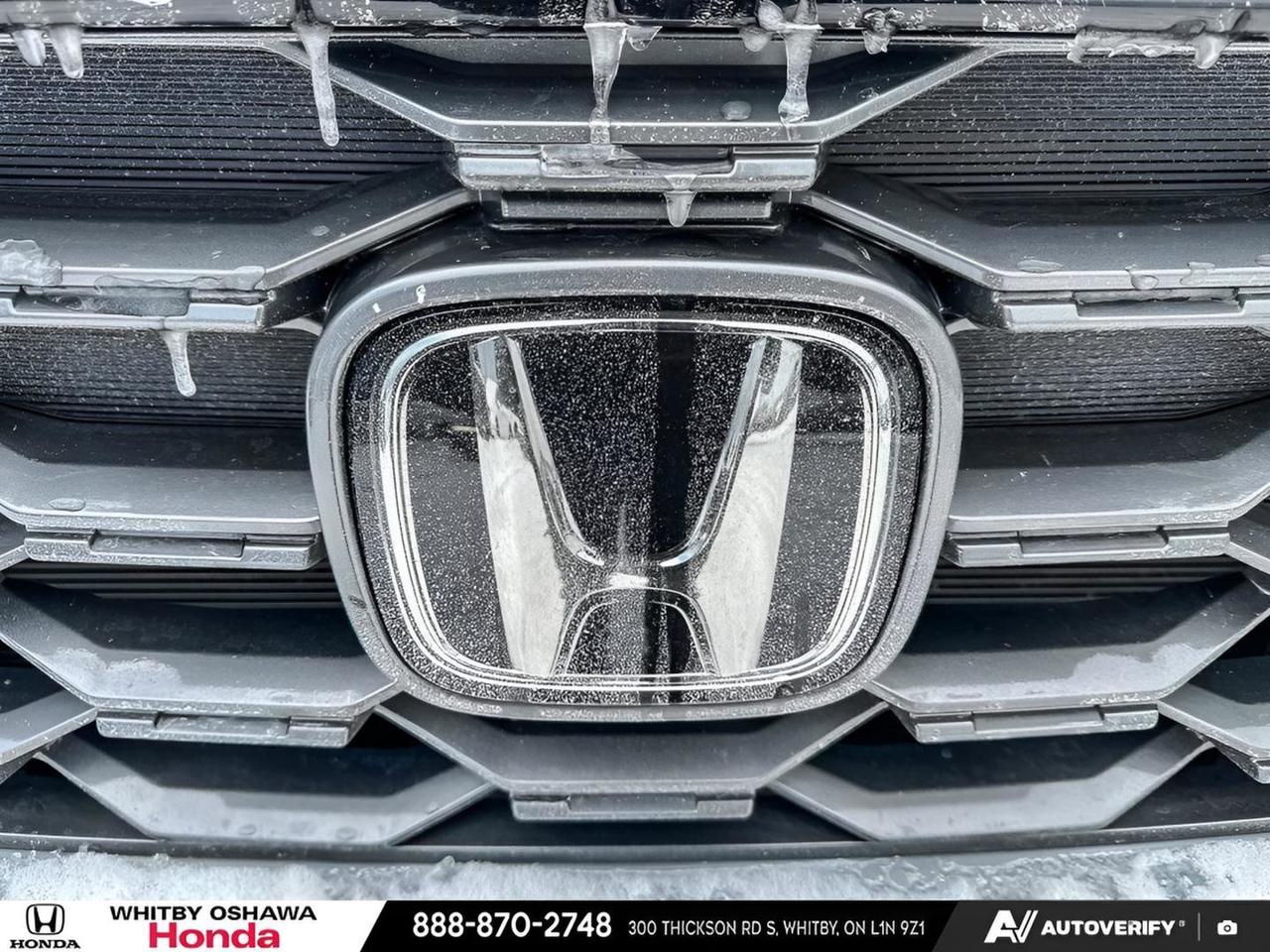 2023 Honda Passport TRAILSPORT Photo