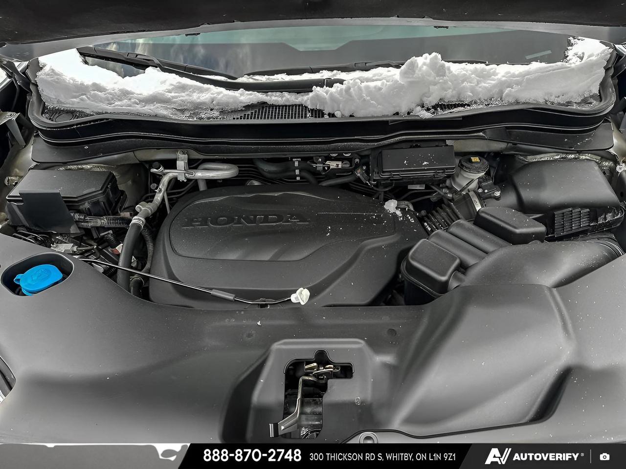 2023 Honda Passport TRAILSPORT Photo