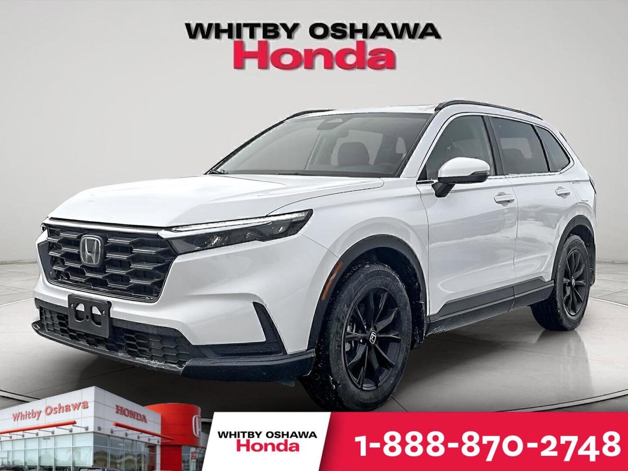 2025 Honda CR-V Sport Photo0