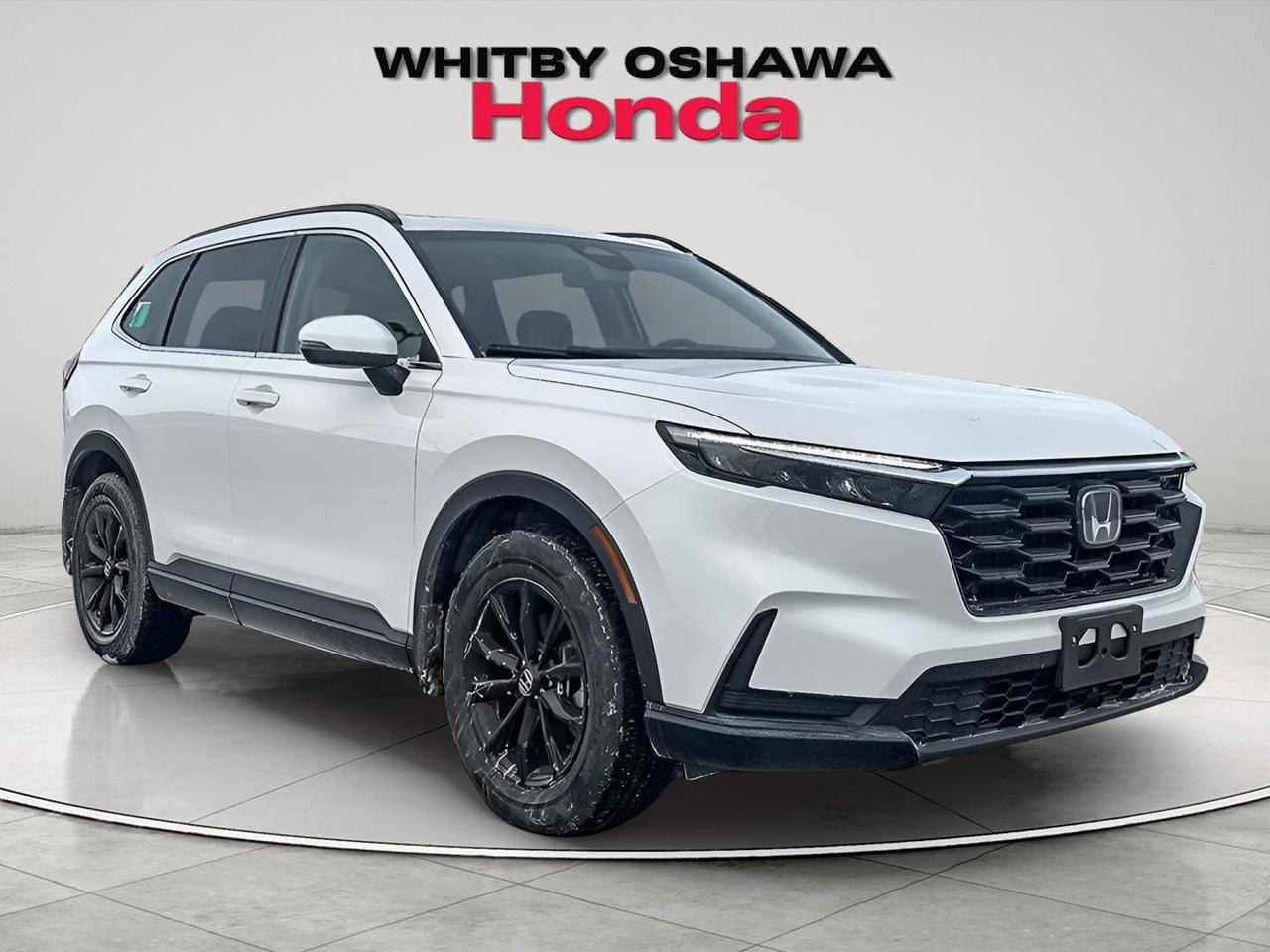 2025 Honda CR-V Sport Photo