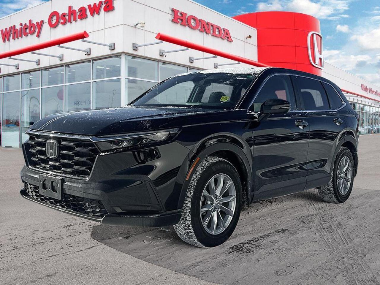 2024 Honda CR-V EX-L Photo