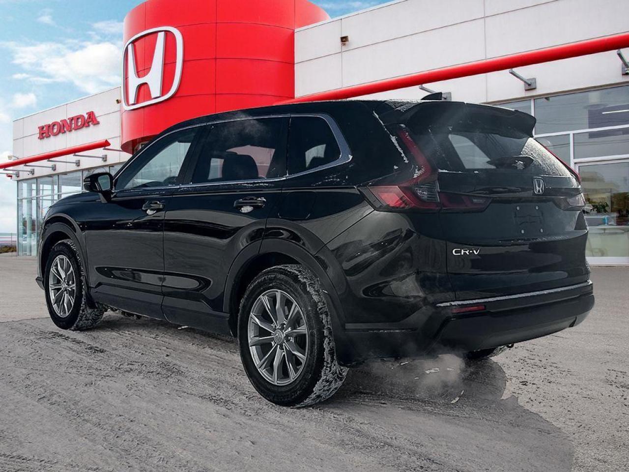 2024 Honda CR-V EX-L Photo