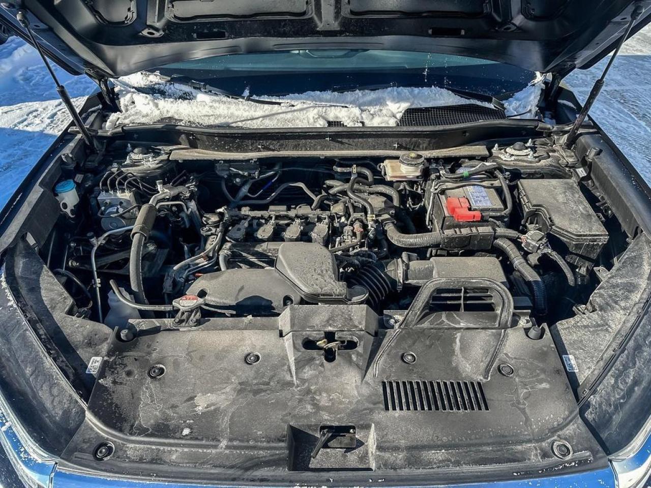 2024 Honda CR-V EX-L Photo