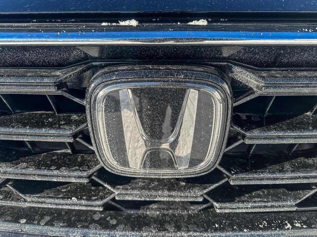 2024 Honda CR-V EX-L Photo