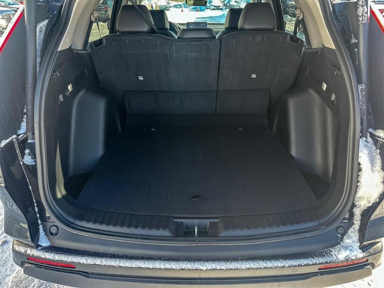 2024 Honda CR-V EX-L Photo