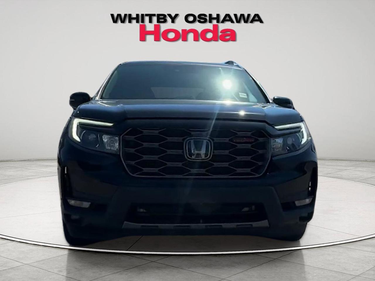 2023 Honda Passport TRAILSPORT Photo