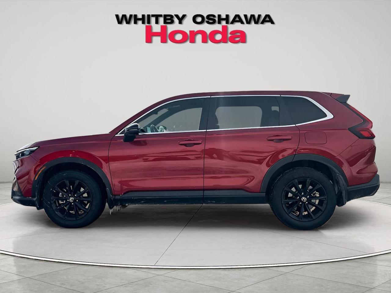 2025 Honda CR-V Hybrid EX-L Photo