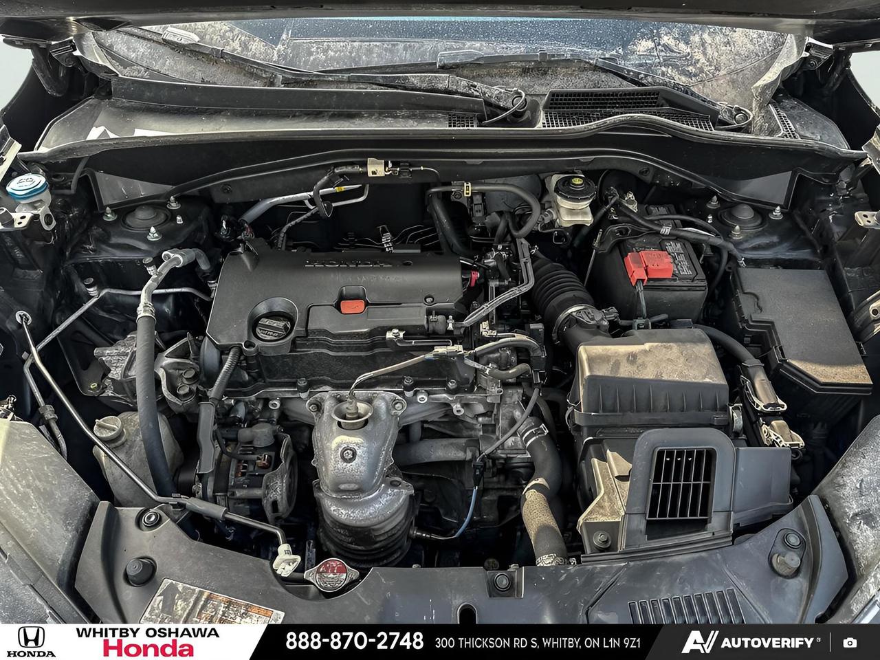 2024 Honda HR-V LX Photo