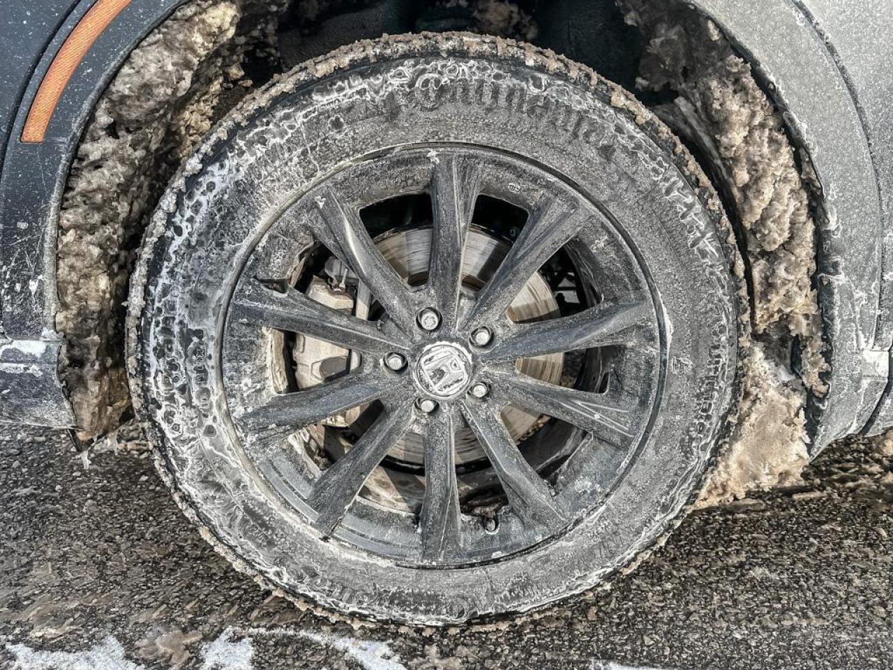 2024 Honda CR-V Hybrid EX-L Photo