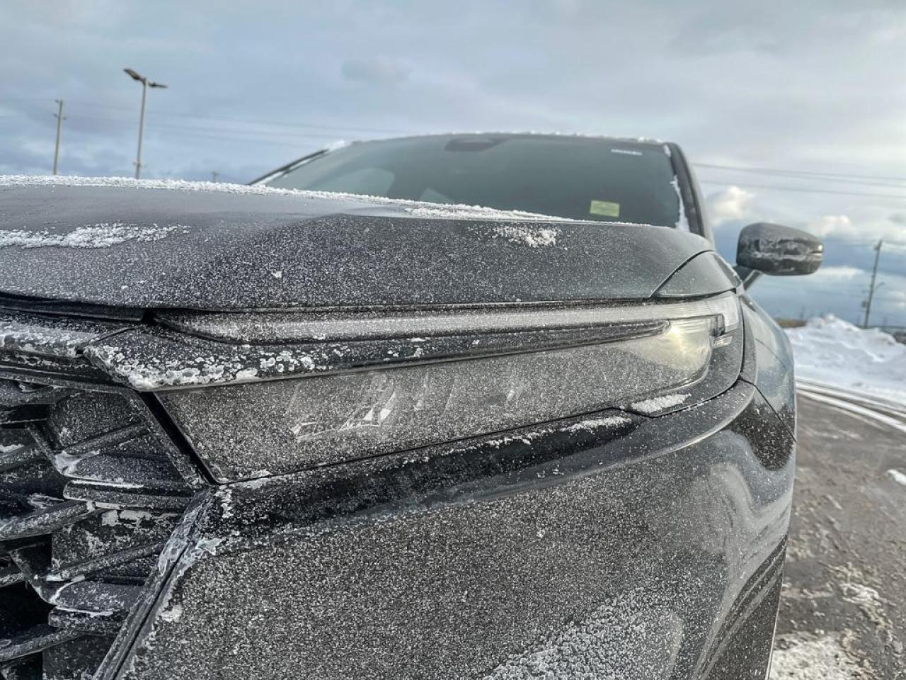 2024 Honda CR-V Hybrid EX-L Photo