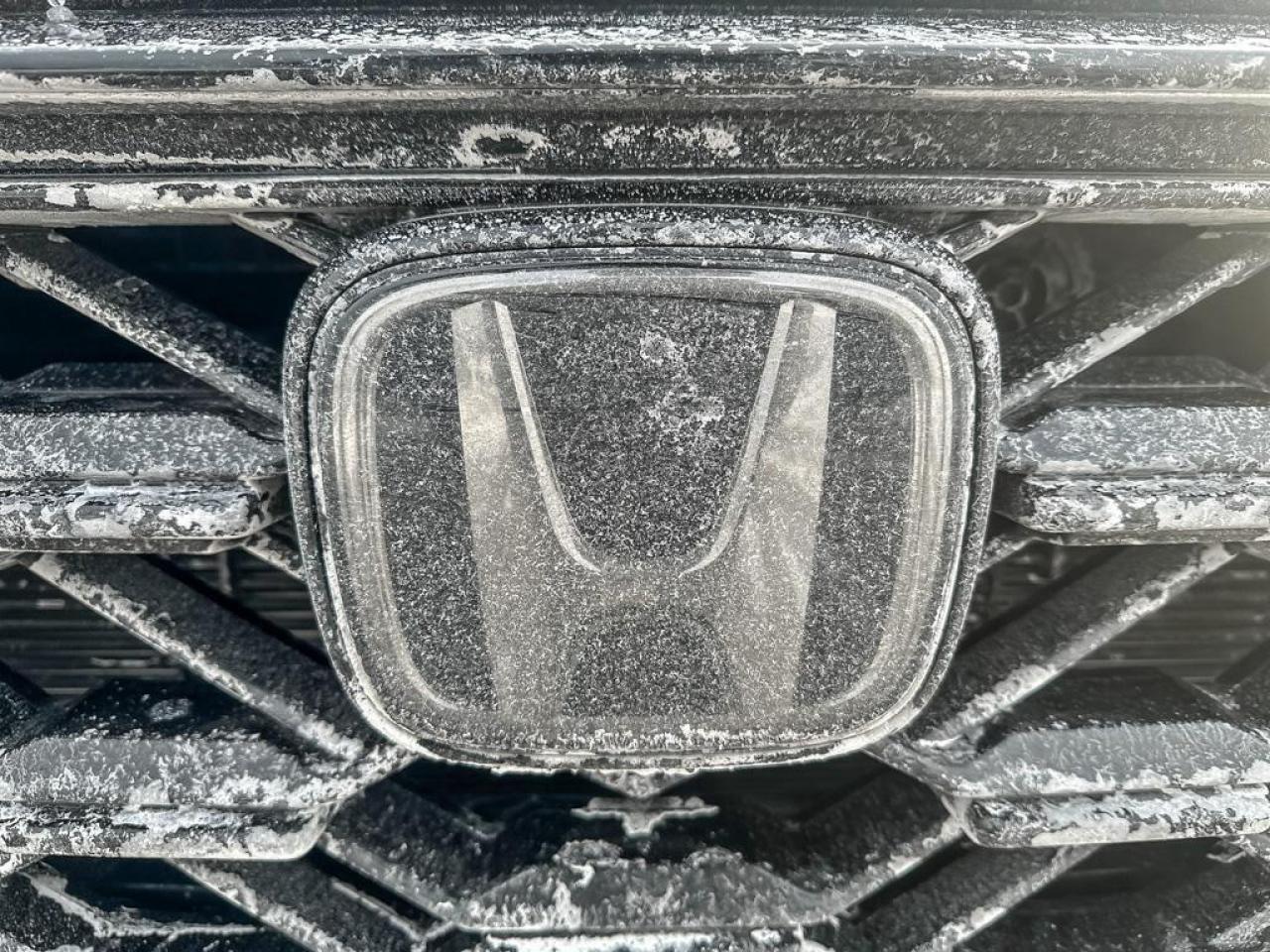 2024 Honda CR-V Hybrid EX-L Photo