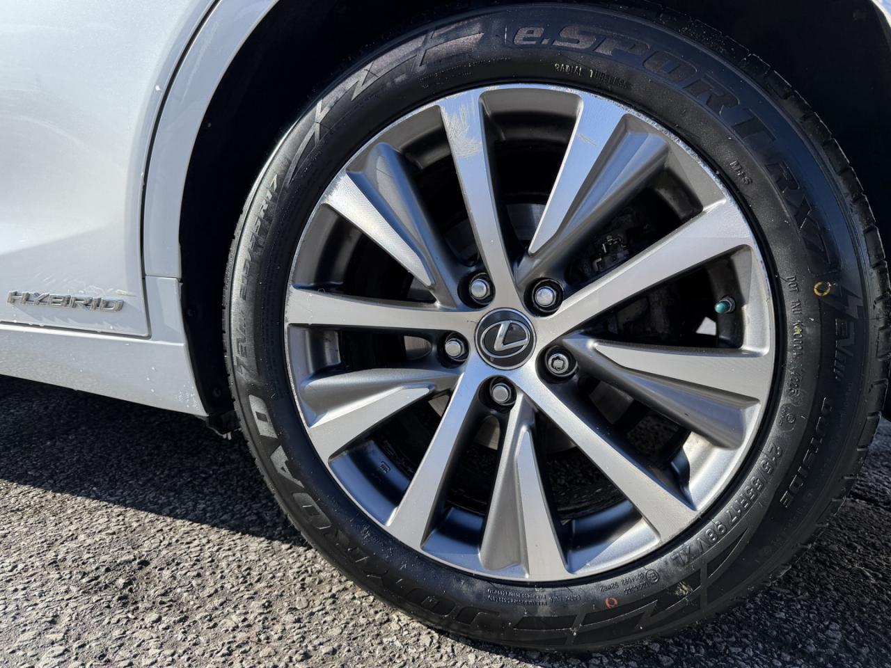 2019 Lexus ES 300 h Sedan Photo