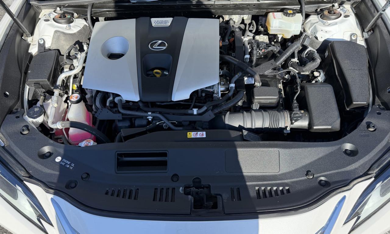 2019 Lexus ES 300 h Sedan Photo