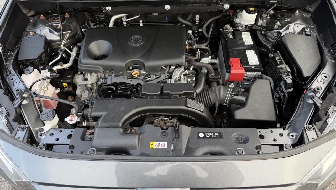 2021 Toyota RAV4 XLE Photo