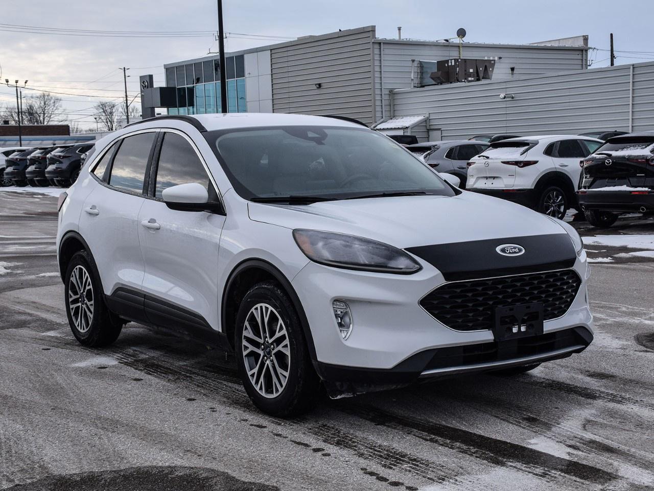 2020 Ford Escape SEL AWD Photo