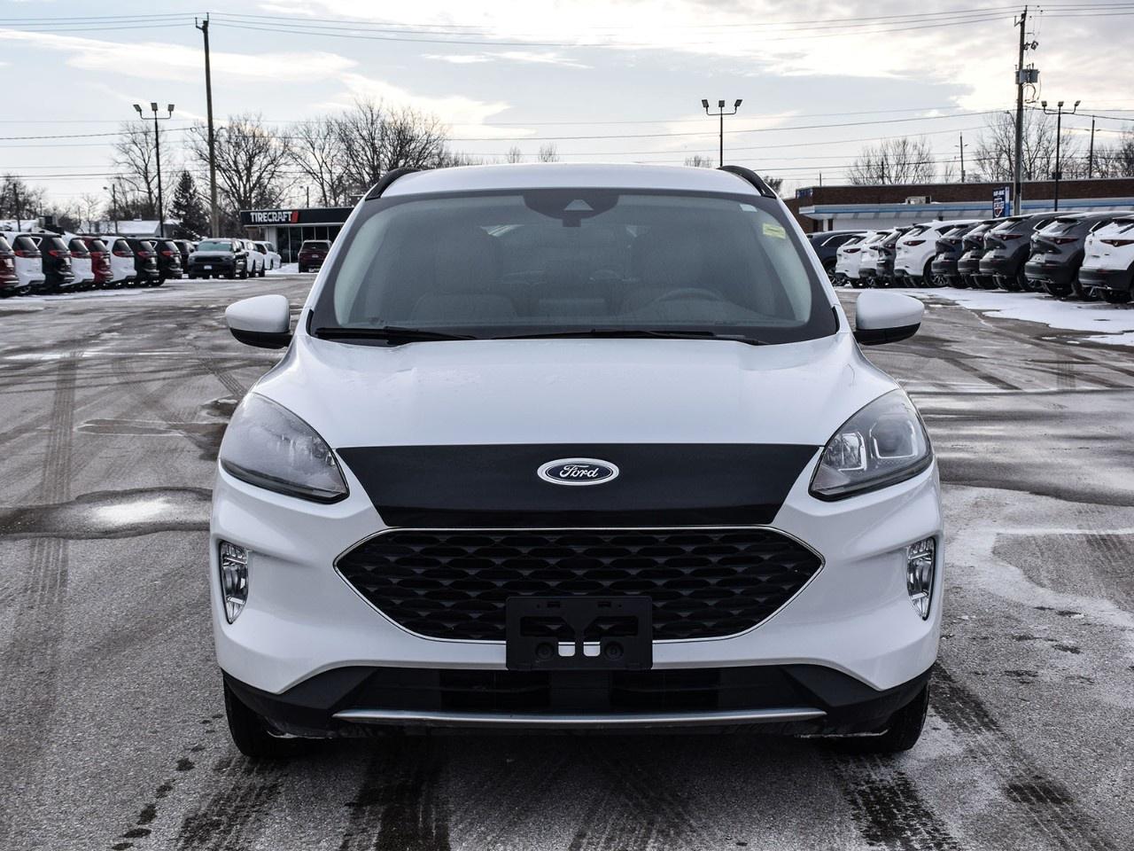 2020 Ford Escape SEL AWD Photo