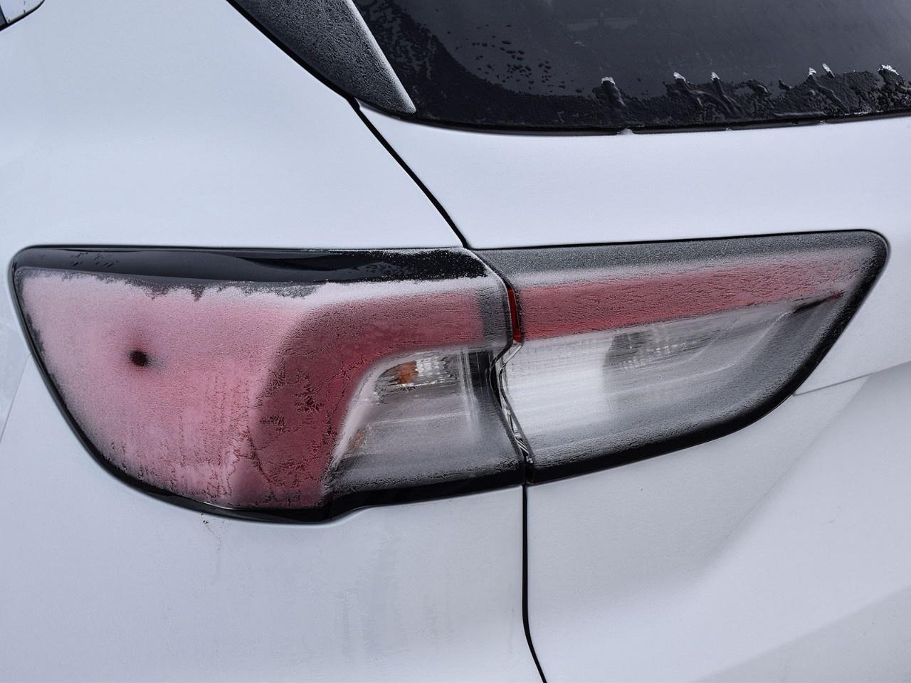 2020 Ford Escape SEL AWD Photo