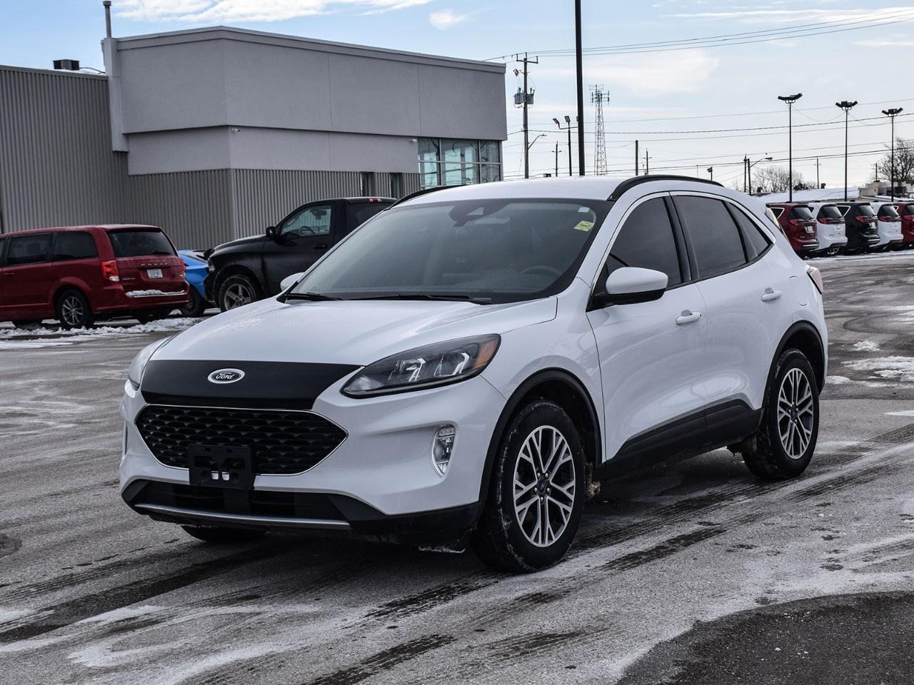 2020 Ford Escape SEL AWD Photo