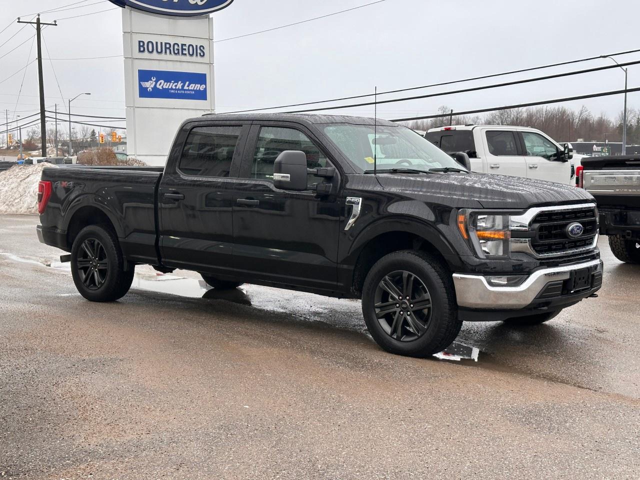 2023 Ford F-150 XLT 4WD SuperCrew 6.5' Box Photo