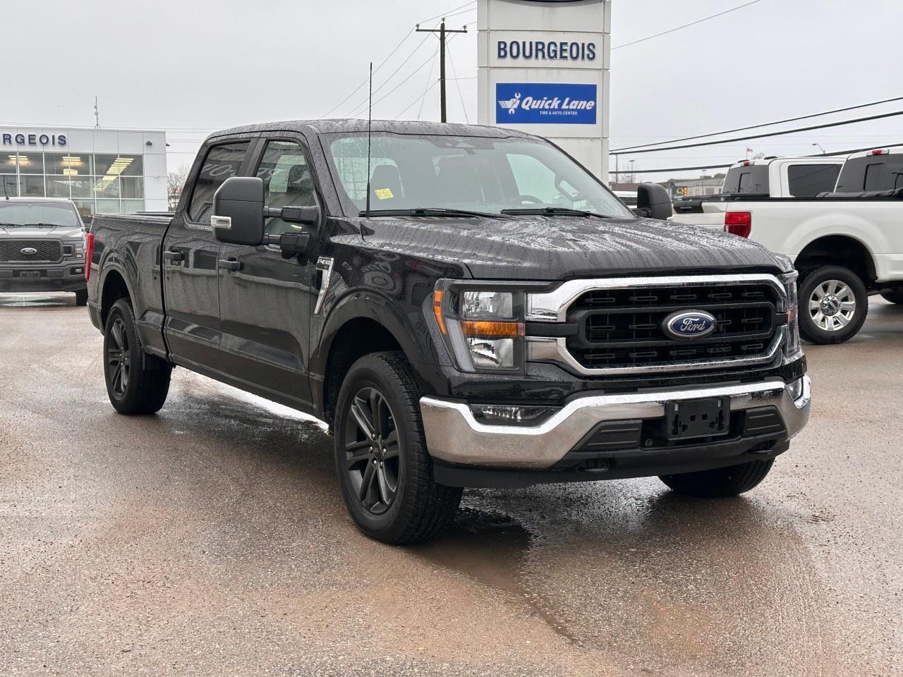 2023 Ford F-150 XLT 4WD SuperCrew 6.5' Box Photo