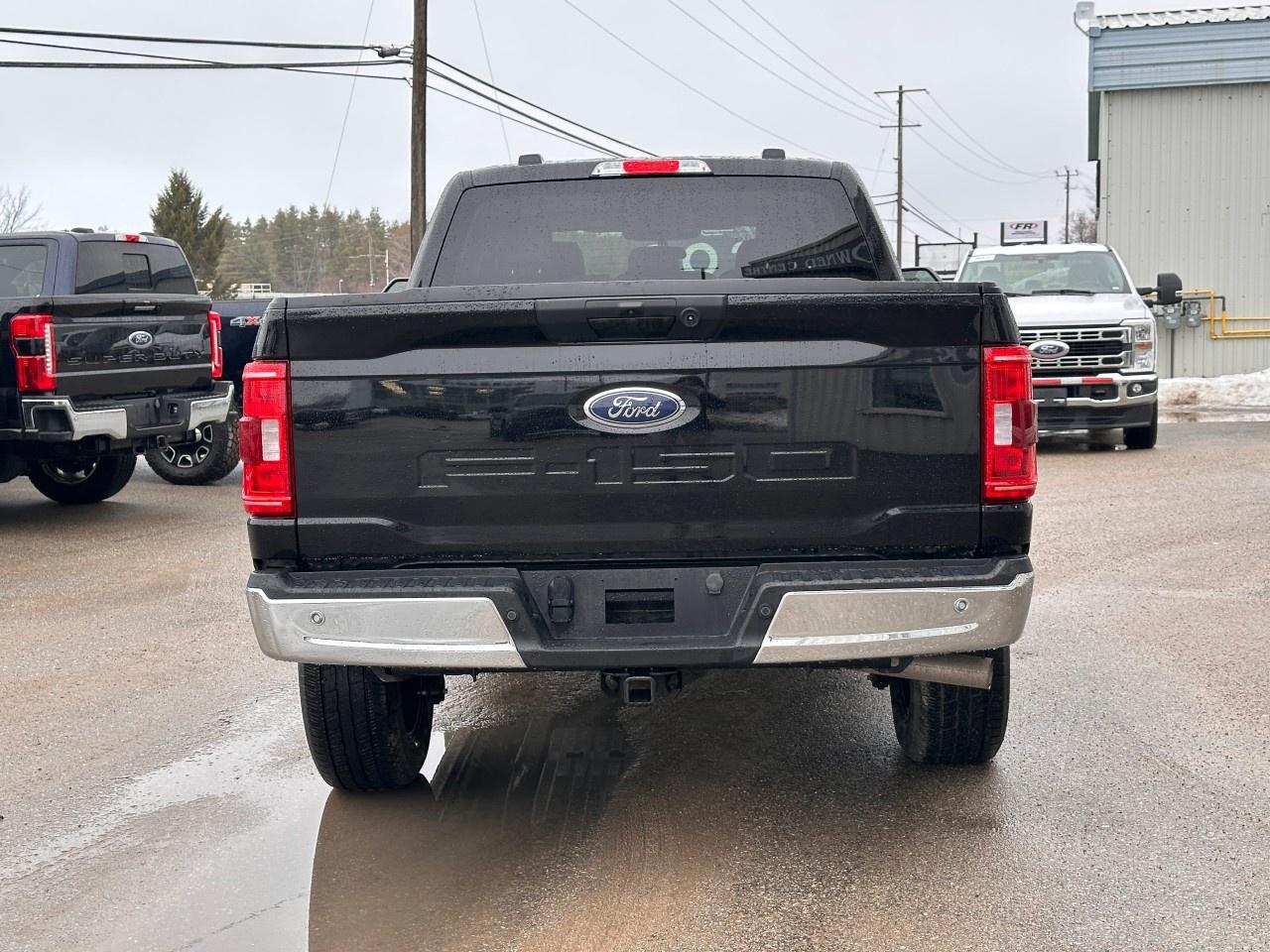 2023 Ford F-150 XLT 4WD SuperCrew 6.5' Box Photo