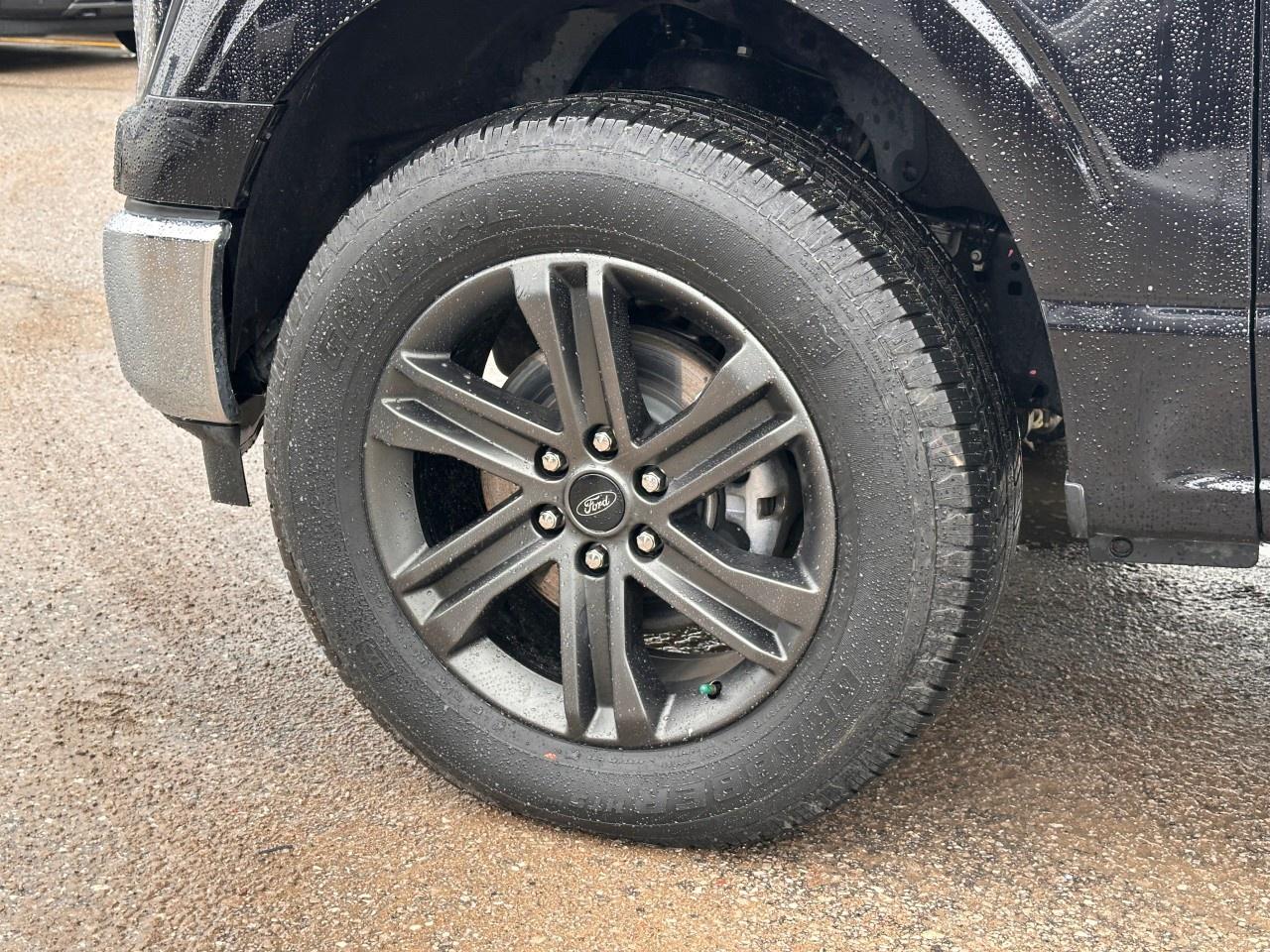 2023 Ford F-150 XLT 4WD SuperCrew 6.5' Box Photo