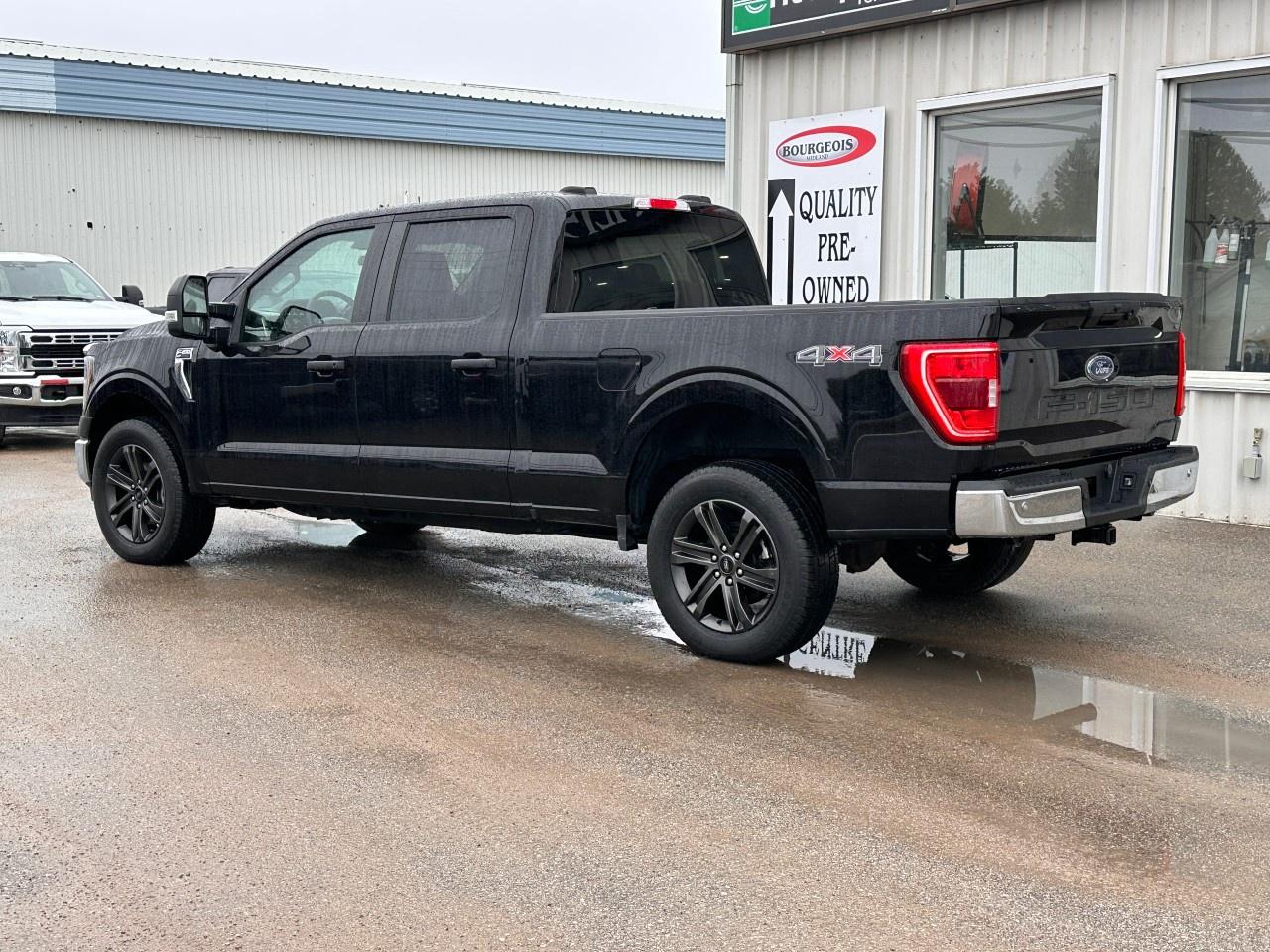 2023 Ford F-150 XLT 4WD SuperCrew 6.5' Box Photo