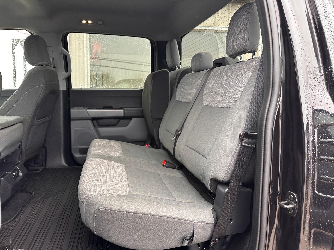 2023 Ford F-150 XLT 4WD SuperCrew 6.5' Box Photo